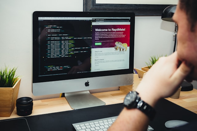 Module LEI Sitlor / WordPress
